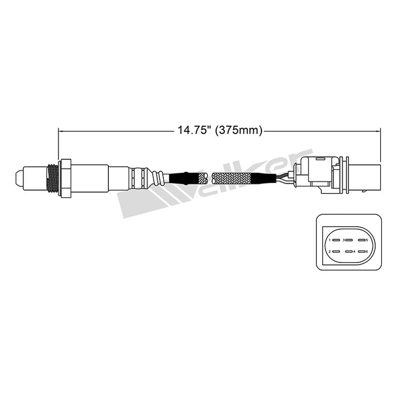Oxygen Sensor