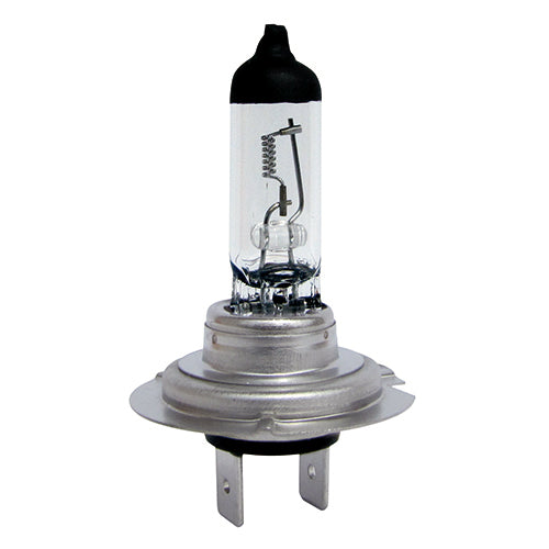 Tungsram Halogen Globe H7 24V 70W PX26D Heavy Star Boxed (Single)